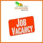 Job Vacancy For Freshers In Internet Advertising