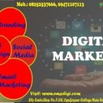 Content marketing by Msdigi Tech in Ranchi.